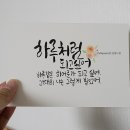 [옥정]손끝 감성 수채캘리그라피 | 소량 엽서제작, 감성 손글씨 디자인