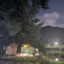 경남 산청 여름 여행지 추천 | 대포숲&열매랑 뿌리랑 약초산나물뷔페 후기