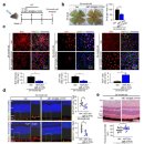 패턴의 원리 이해 및 제도 이미지