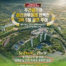 플라밍고C.C 이미지