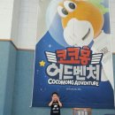 계양 코코몽 어드벤처 다녀왔어요