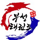 국가대표 부성태권도 이미지