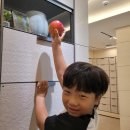 실과 함께 | 광릉추모공원 더크레스트 봉안당에 모시면 제사는? - 제례실과 제사 상차림 가격 등 정보