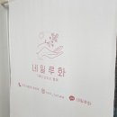 네일루화
