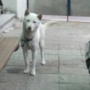 바다의별약국 이미지