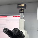 시흥탑동물의료센터 이미지