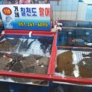 칠천도활어