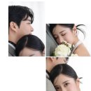 루시드플라워 이미지