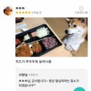 누엘 이미지