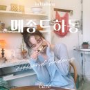 하동 현지인 추천 카페 메종드하동 내돈내산 솔직후기: 화개장터 근처 베이커리