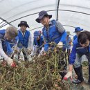 방축마을 이미지