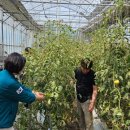 대동면행정복지센터 이미지