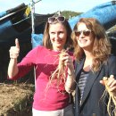 진악산농장 | 2025 금산세계인삼축제 방문기｜일정·프로그램·주차·꿀팁 총정리