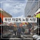 자갈치시장 | 부산 중구 자갈치 노점 시장 방문 후기 및 추천(+내돈내산)