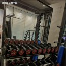 피티# 노빠꾸짐 이미지