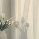 리앤뷰 필라테스 이미지