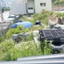 거제대로(아주동) 이미지