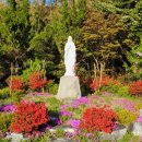 좌화취월 이미지