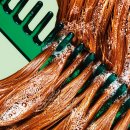 풍성한 머릿결을 위한 두피케어 이미지