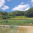 자경농장 이미지