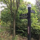 제269차(2018.02.18)광주,국립공원.무등산.산행 이미지