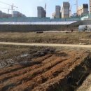 행정법인도움행정사합동사무소 네이버블로그