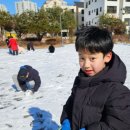 태빛태권도장 이미지