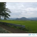 삼릉종가 티스토리