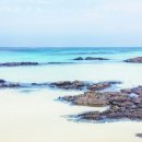 오늘, 제주 이미지