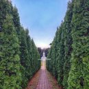 씨유제주동부휴게소점 | [공지] 제주여행 도장 깨기 [겨울 편] / 제주여행코스와 기본 정보 정리