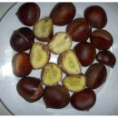 김옥자농장 이미지