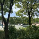 서울숲 무지개터널 앞 이미지