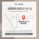 도곡동행동물병원 이미지