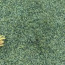 공지천인조잔디구장 이미지