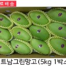 그린망고