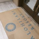 알로하약국 | 하와이 코스트코 이용꿀팁 총정리 (렌터카-숙소 동선까지!)