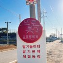 원봉농장 | 또로롱 딸기 농장 - 논산딸기체험 내돈내산 후기