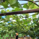 종혁농장 이미지