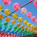 라온태권도장 이미지