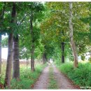 영상강 농장 이미지