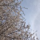 띵크온스튜디오