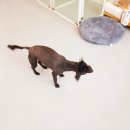 러블리멍 이미지