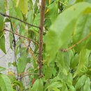 한국철물전기 이미지