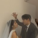 투비어스