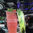 모히또바인오션 이미지