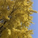 거북건설(주) | 고용해주셔서 진짜 감사한데 집에 갈래