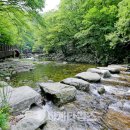 상징분수, 워터월 이미지