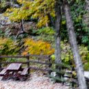 깊은산속민박 이미지