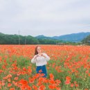 무극안경콘텍트 이미지