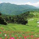 레인보우힐스CC 국민일보